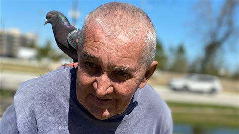 abc/beloved bird man is a celebrity to people and animals